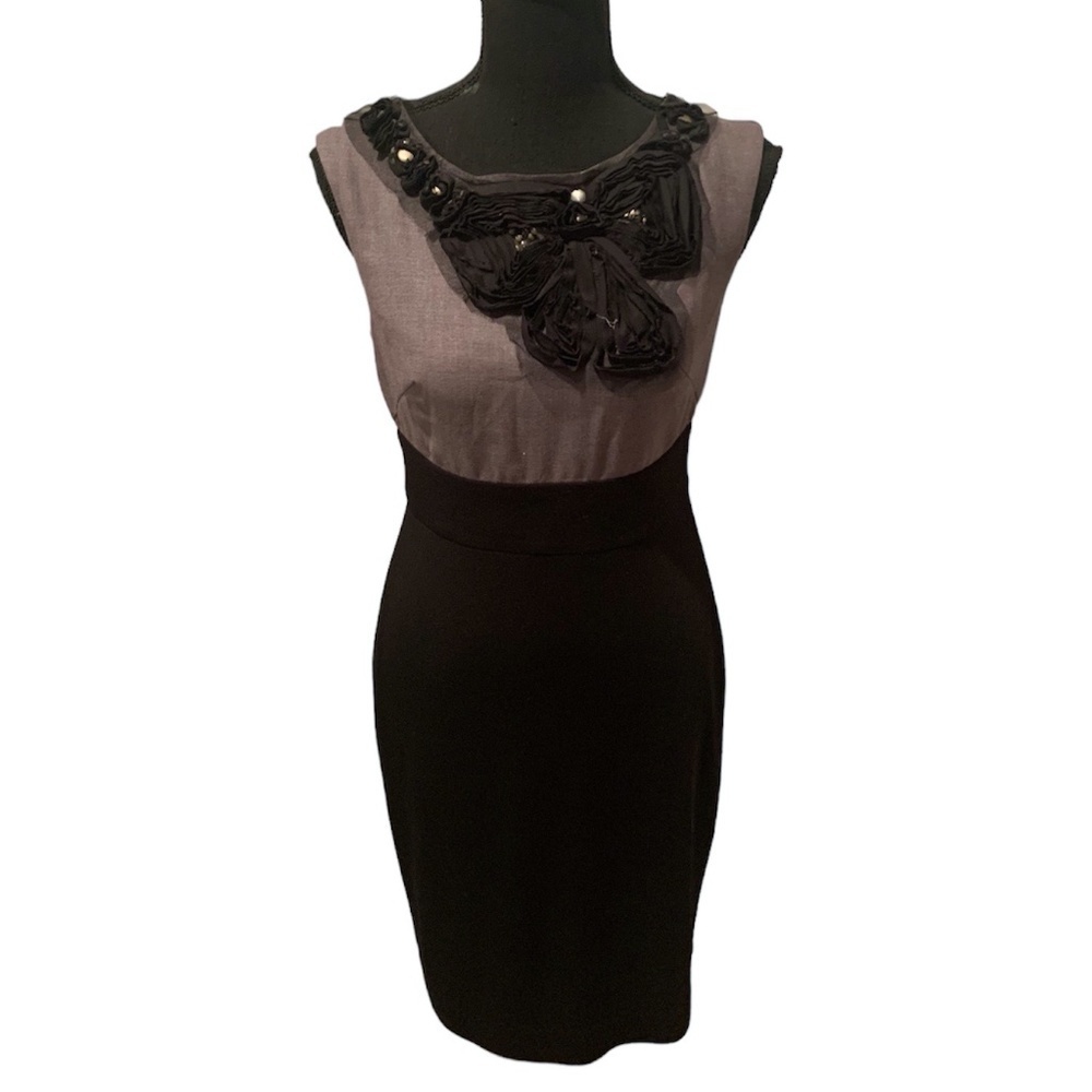 Suzi Chin for Maggie Boutique Sleeveless Sheath Dress size 2